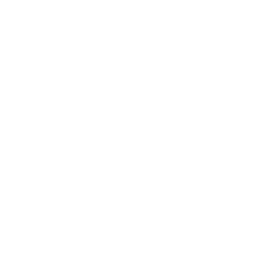 chimney chase icon