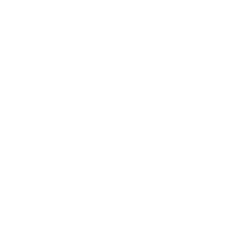 custom chimney chase icon