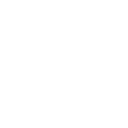 flat roof repair icon