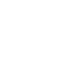 roof leak repair icon