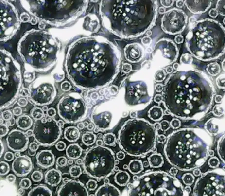 gonano particle structure