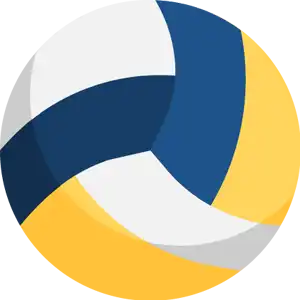 volleyball-icon volleyball icon